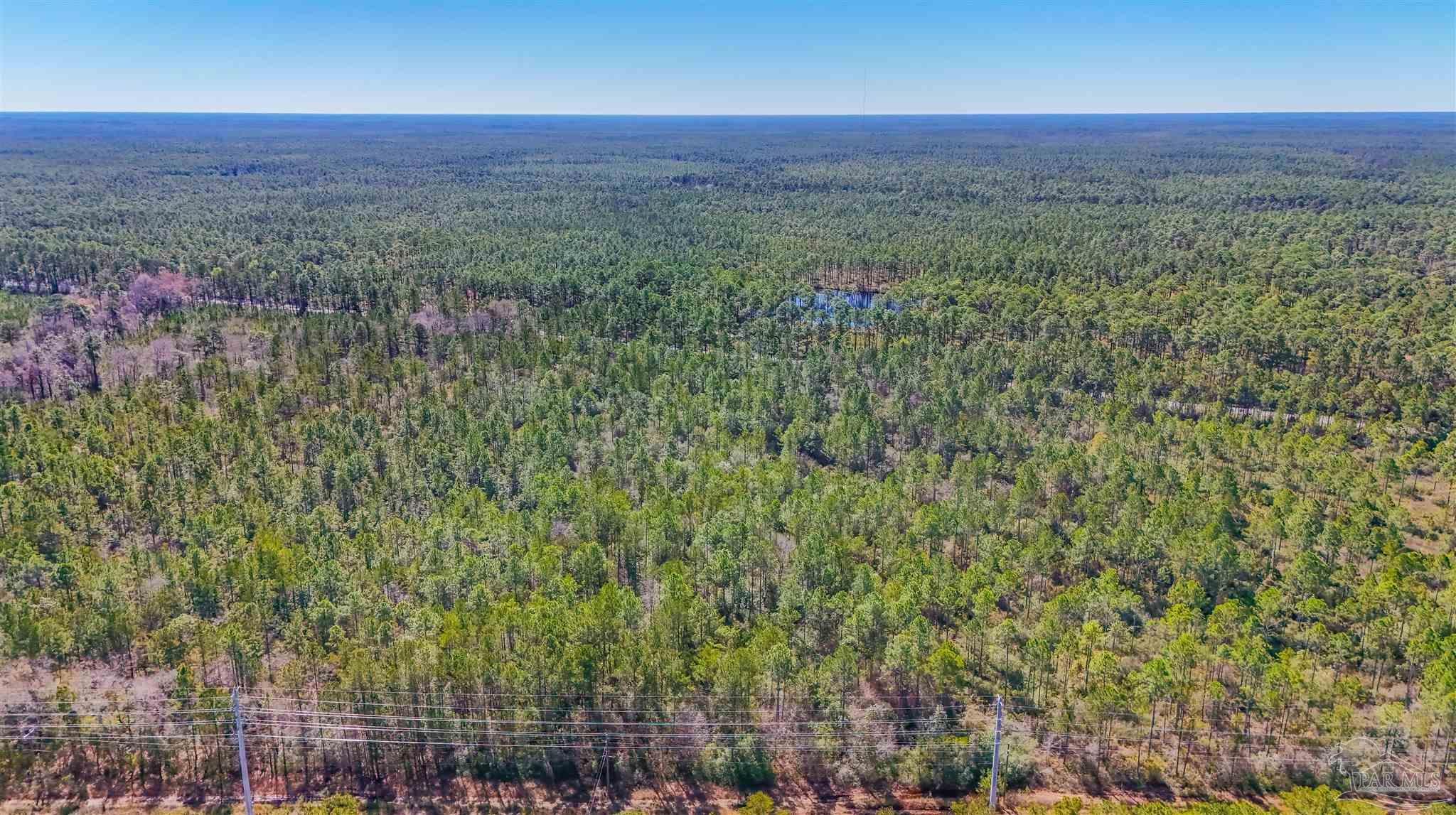 1 Highway 20 Freeport, FL 32439 - Photo 11 of 13 a view of a lush green field