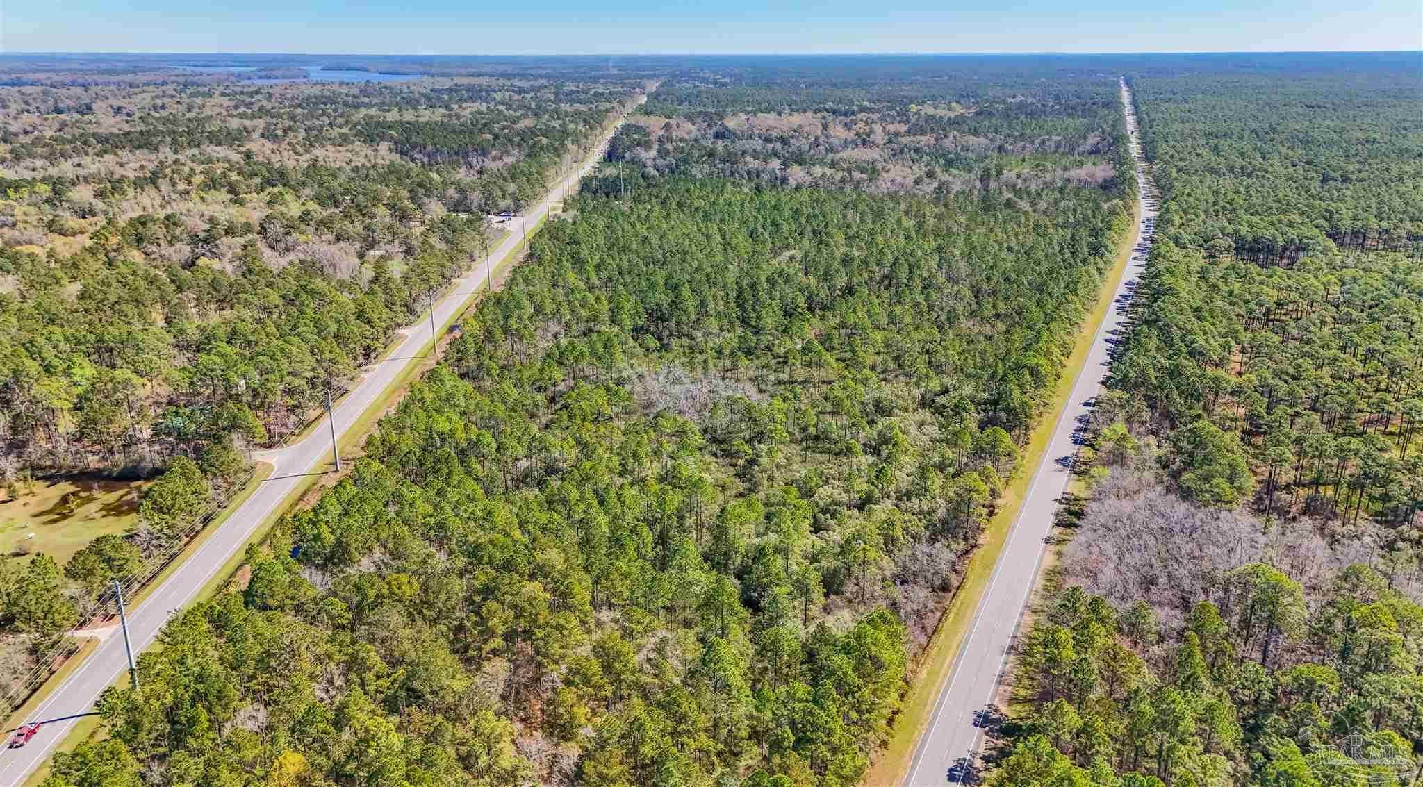 1 Highway 20 Freeport, FL 32439 - Photo 5 of 13 a view of a forest from a yard