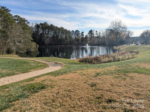 a view of a yard in a backyard