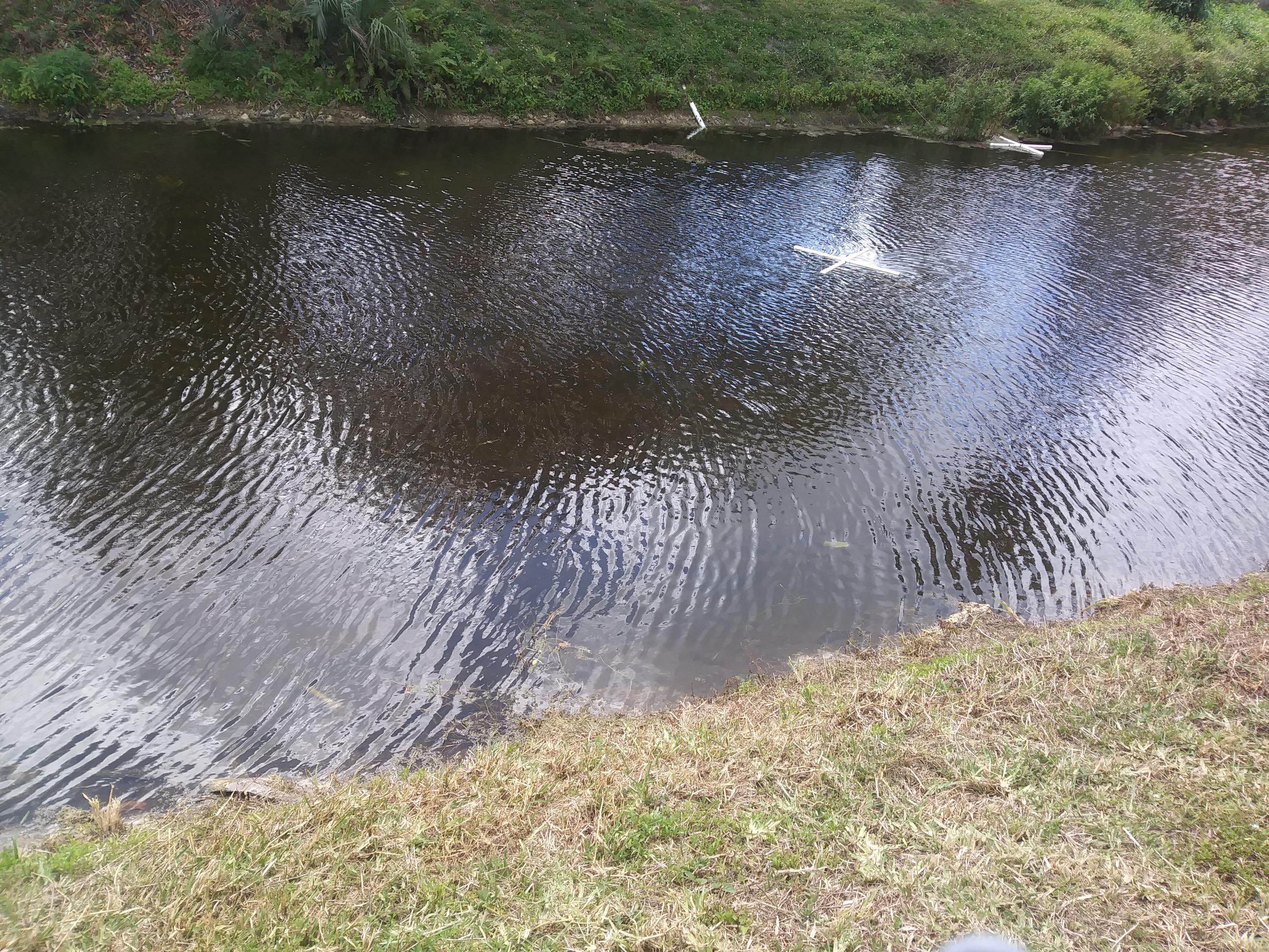 9266 Southwest 2nd Street Boca Raton, FL 33428 - Photo 11 of 21 Canal