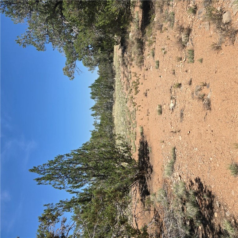 32220 West Conejo Road Seligman, AZ 86337 - Photo 12 of 24 View of nature