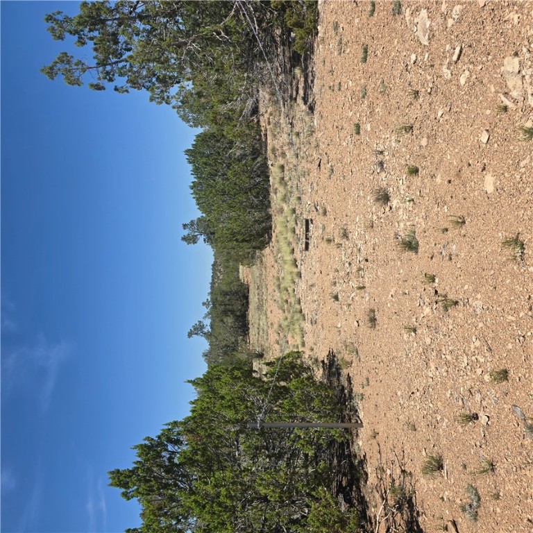 32220 West Conejo Road Seligman, AZ 86337 - Photo 5 of 24 View of local wilderness