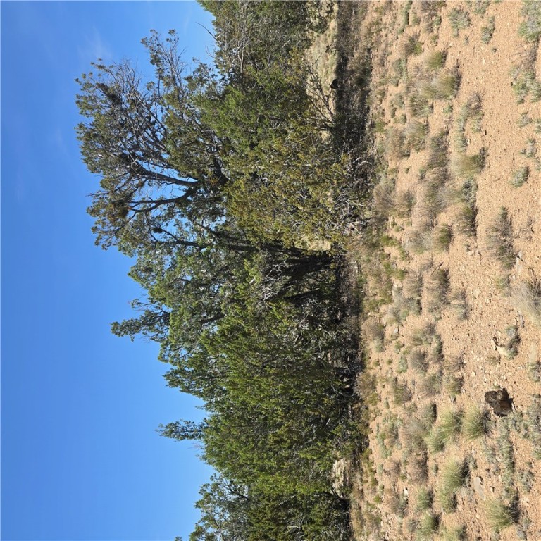 32220 West Conejo Road Seligman, AZ 86337 - Photo 8 of 24 View of nature