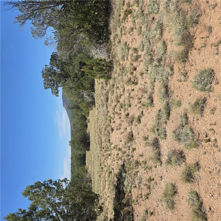 32220 West Conejo Road Seligman, AZ 86337 - Photo 9 of 24 Mountain view