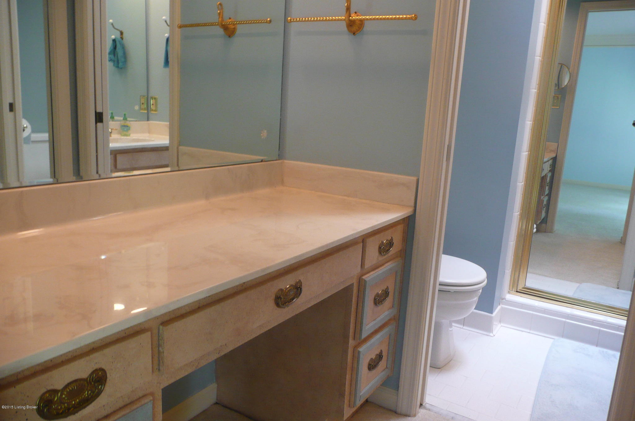 3607 Trail Ridge Road Louisville, KY 40241 - Photo 31 of 61 Vanity Area
