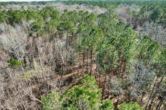 $210,000 | 2894 Southwest Overstreet Avenue, Greenville, FL 32331