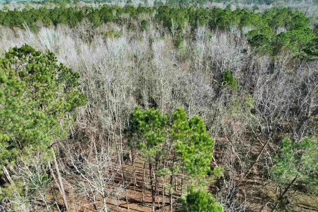 $210,000 | 2894 Southwest Overstreet Avenue, Greenville, FL 32331