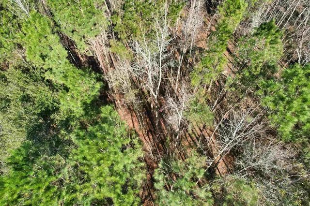 $210,000 | 2894 Southwest Overstreet Avenue, Greenville, FL 32331