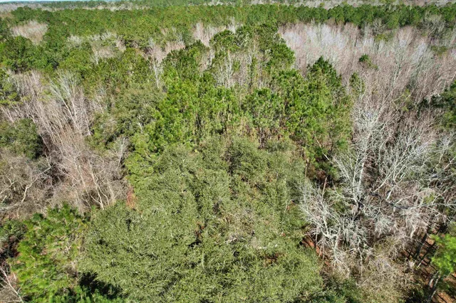 $210,000 | 2894 Southwest Overstreet Avenue, Greenville, FL 32331