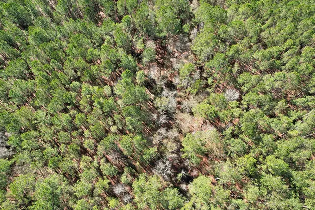 $210,000 | 2894 Southwest Overstreet Avenue, Greenville, FL 32331