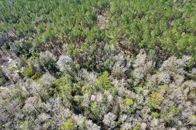 $210,000 | 2894 Southwest Overstreet Avenue, Greenville, FL 32331