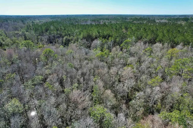 $210,000 | 2894 Southwest Overstreet Avenue, Greenville, FL 32331