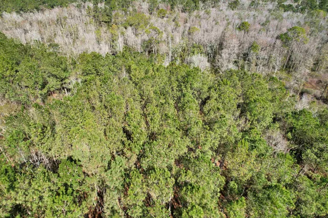 $210,000 | 2894 Southwest Overstreet Avenue, Greenville, FL 32331