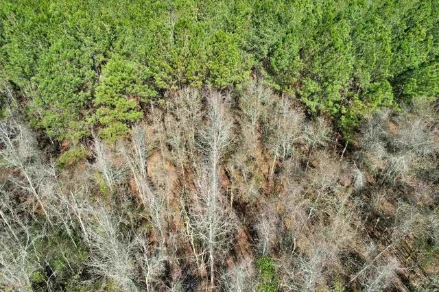 $210,000 | 2894 Southwest Overstreet Avenue, Greenville, FL 32331