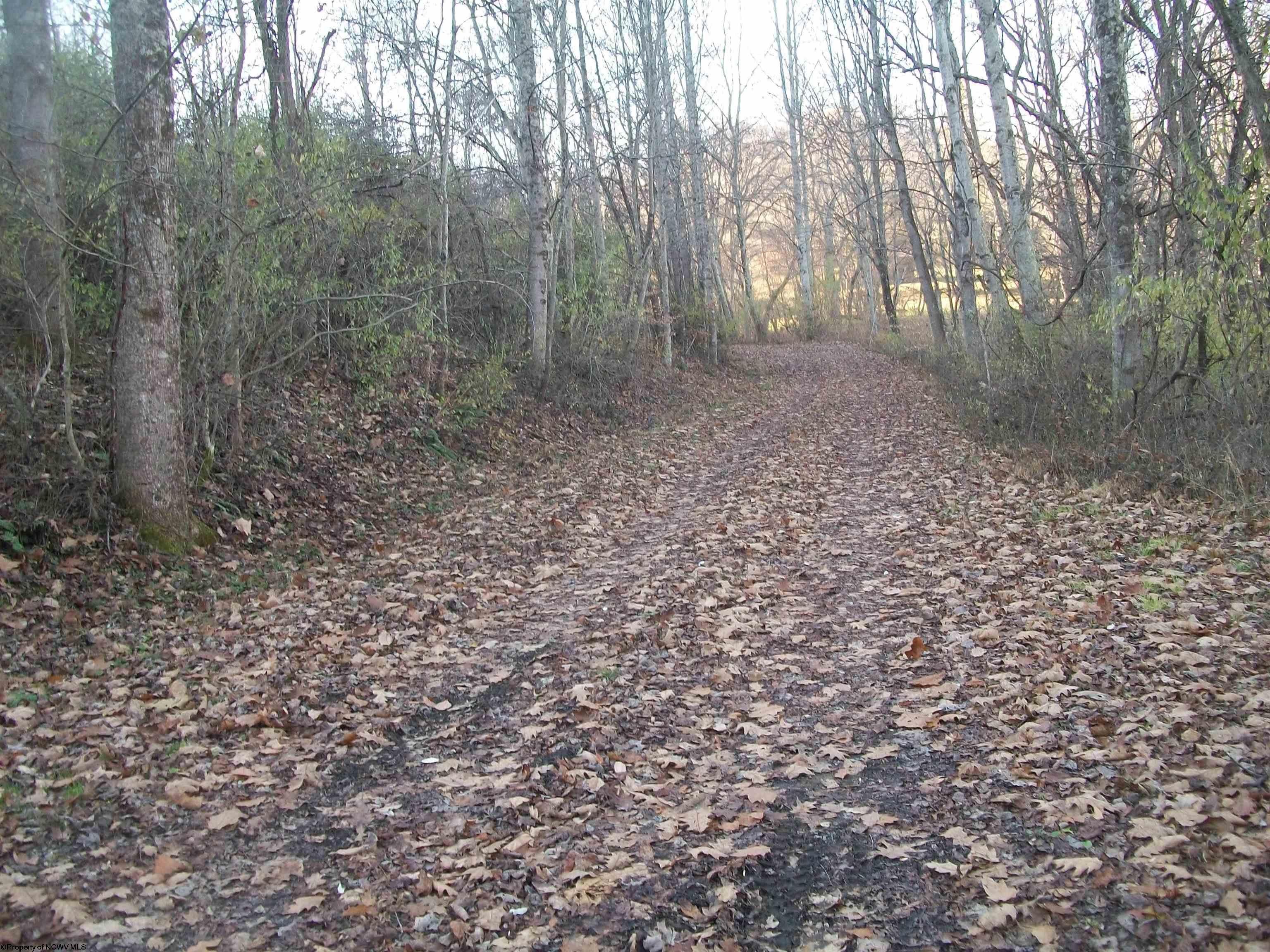 Tbd Midland Road Moatsville, WV 26405 - Photo 2 of 10 Gallery Image 2