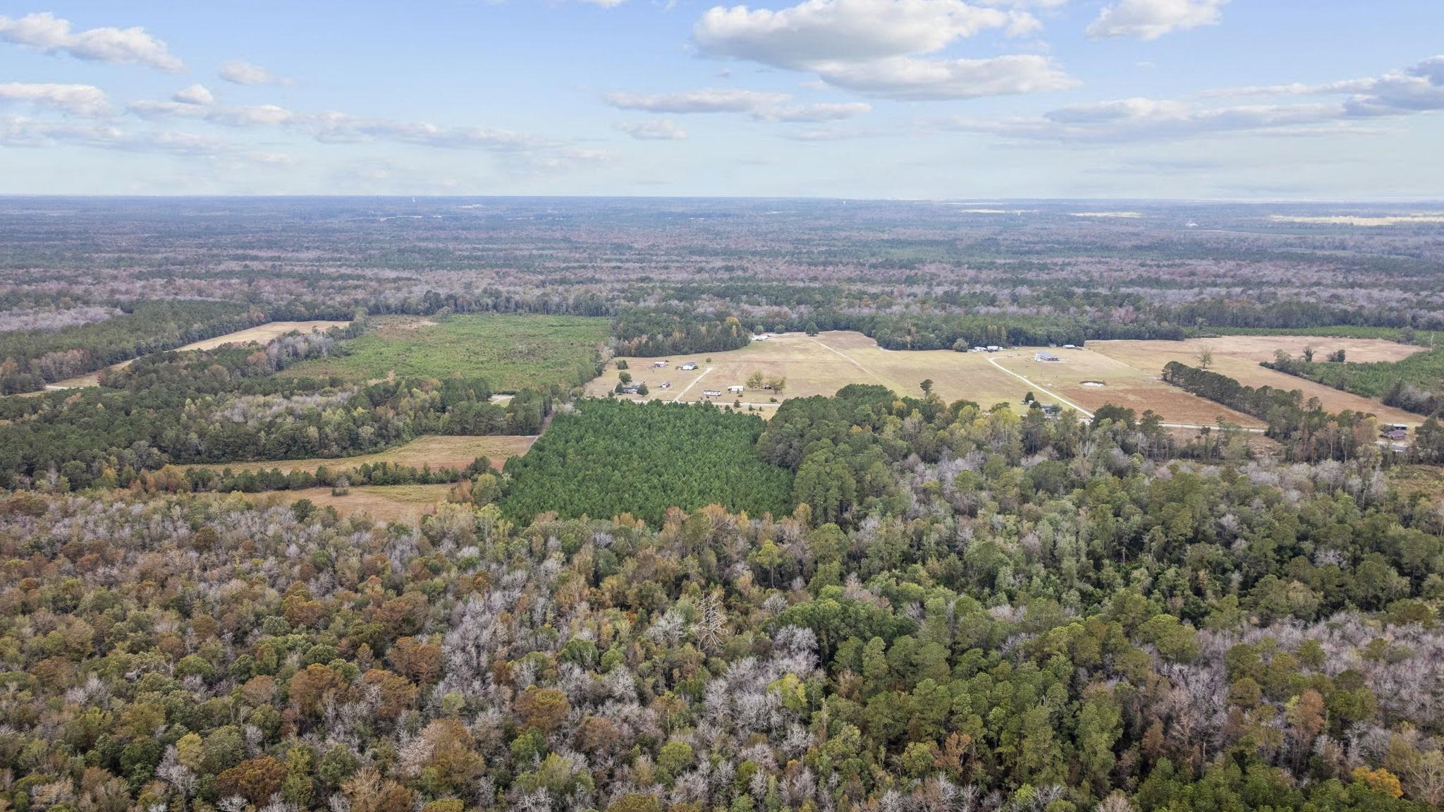 Lot 9 Creek Landing Road Nichols, SC 29581 - Photo 10 of 19 Gallery Image 10