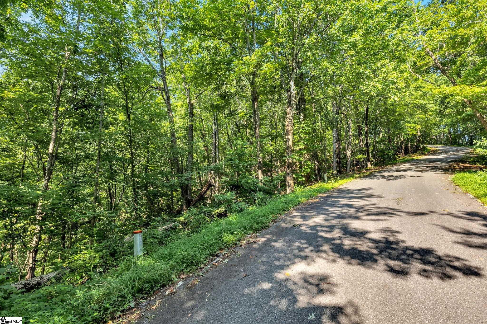 0 Old Chapman Trail Pickens, SC 29671 - Photo 12 of 15