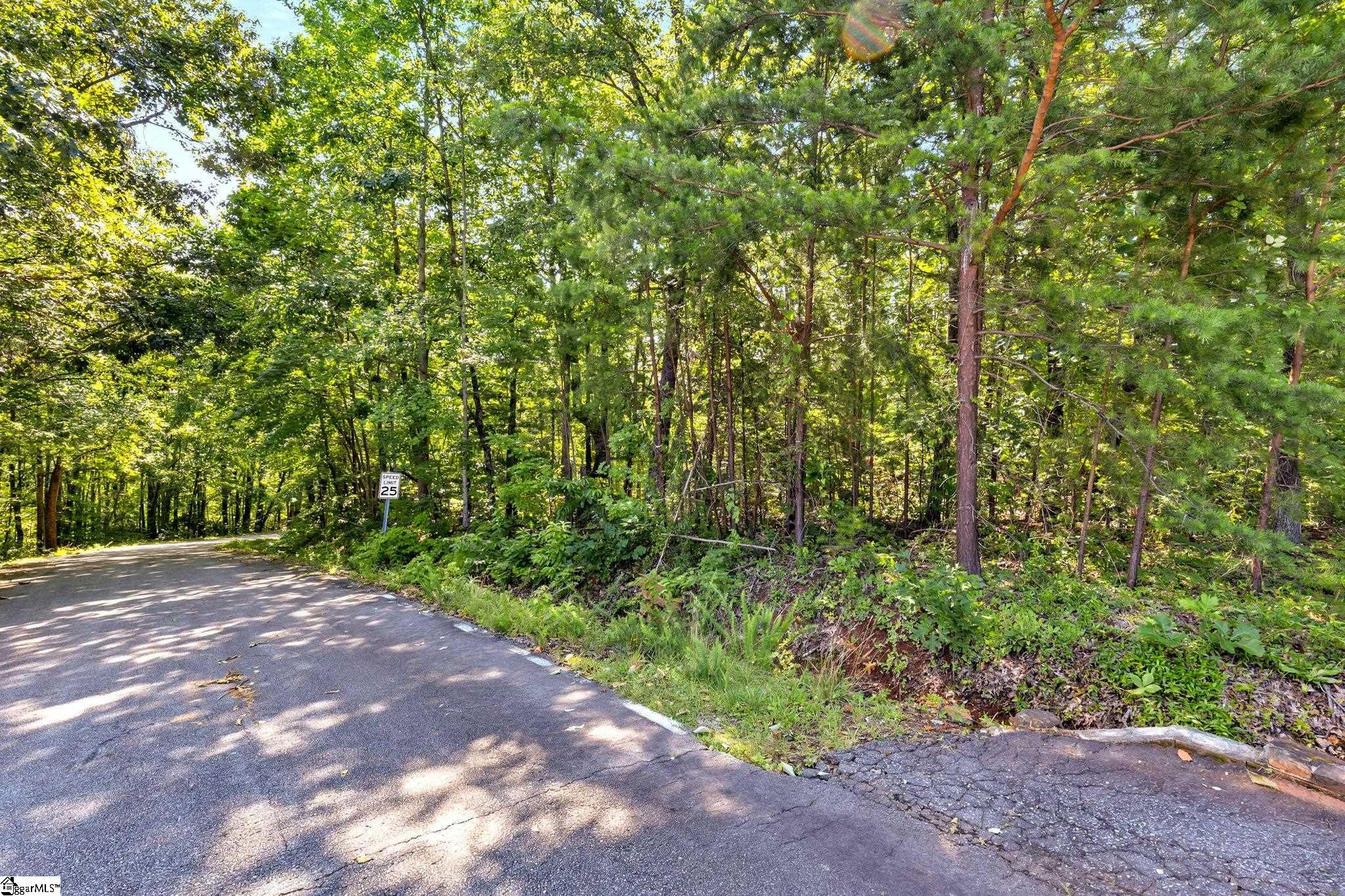 0 Old Chapman Trail Pickens, SC 29671 - Photo 13 of 15