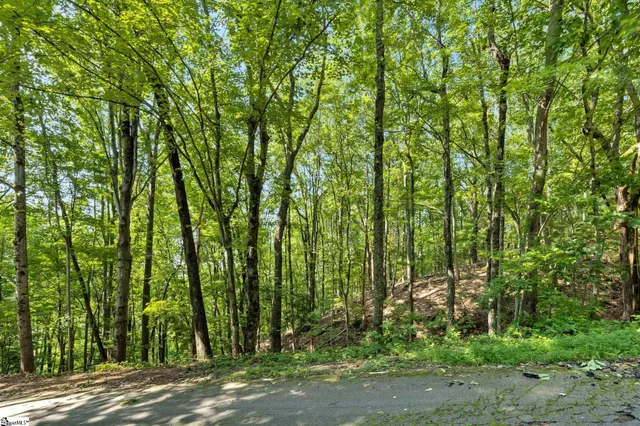 $153,000 | 0 Old Chapman Trail, Pickens, SC 29671