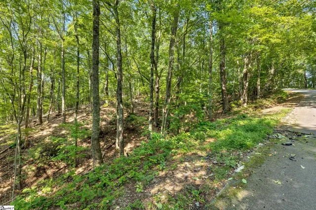 $153,000 | 0 Old Chapman Trail, Pickens, SC 29671