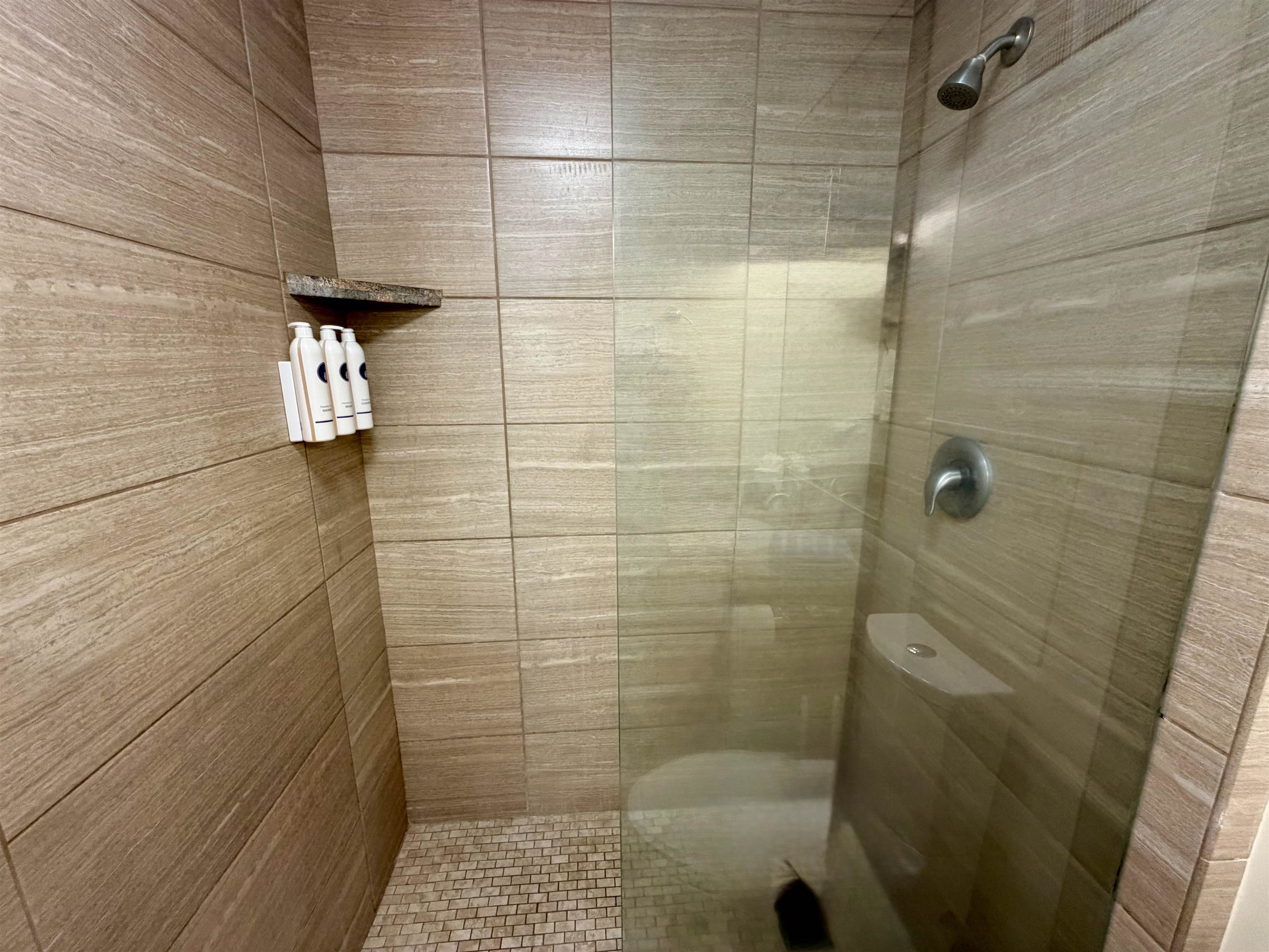 3785 Lower Honoapiilani Road, Unit 401 Lahaina, HI 96761 - Photo 15 of 30