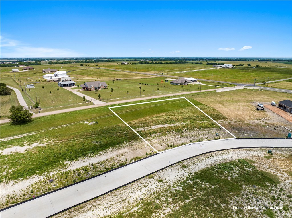 120 Yellow Rose Street Lorena, TX 76655 - Photo 9 of 12