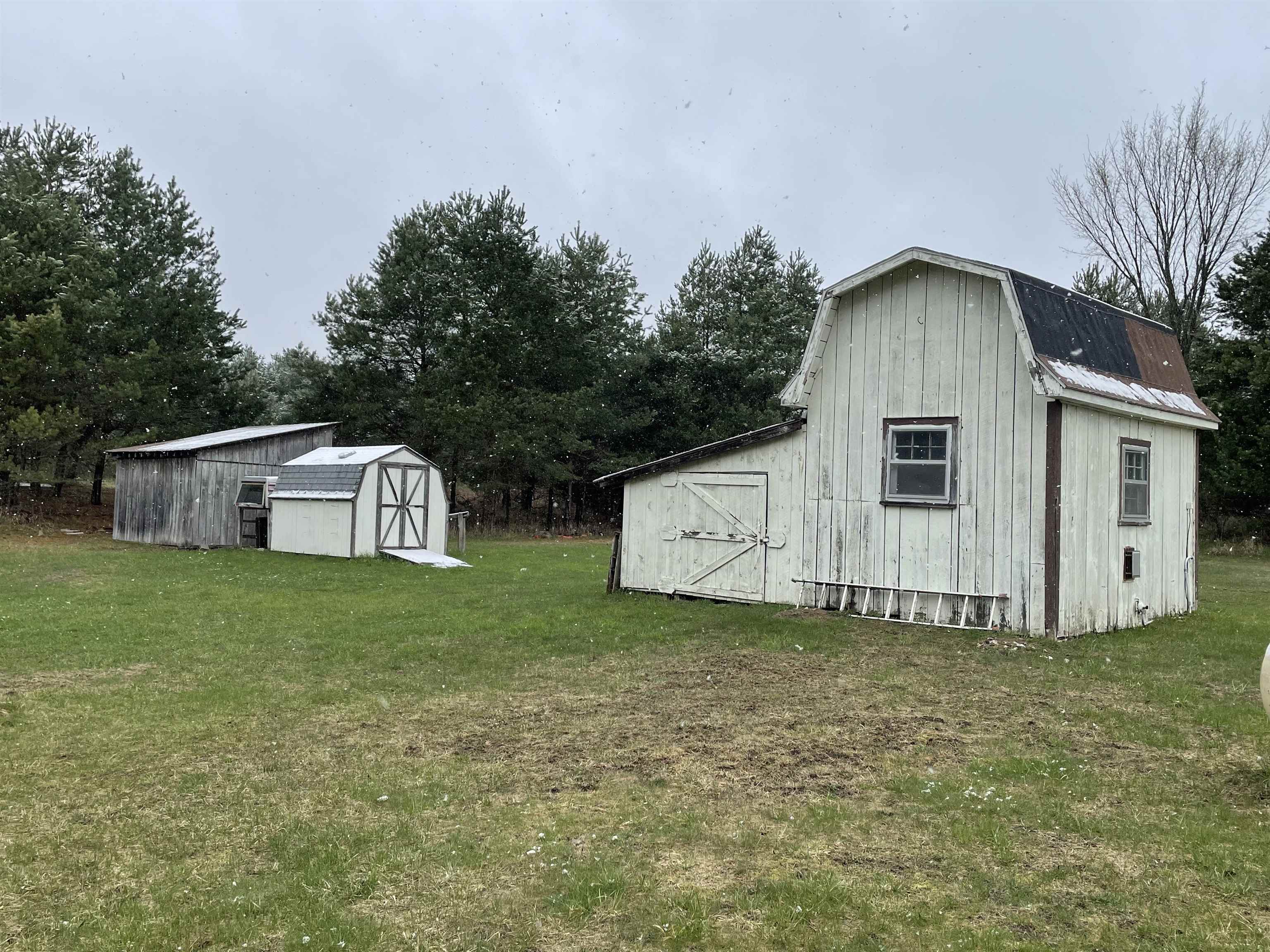 3953 Campbell Road Rose City, MI 48654 - Photo 3 of 14