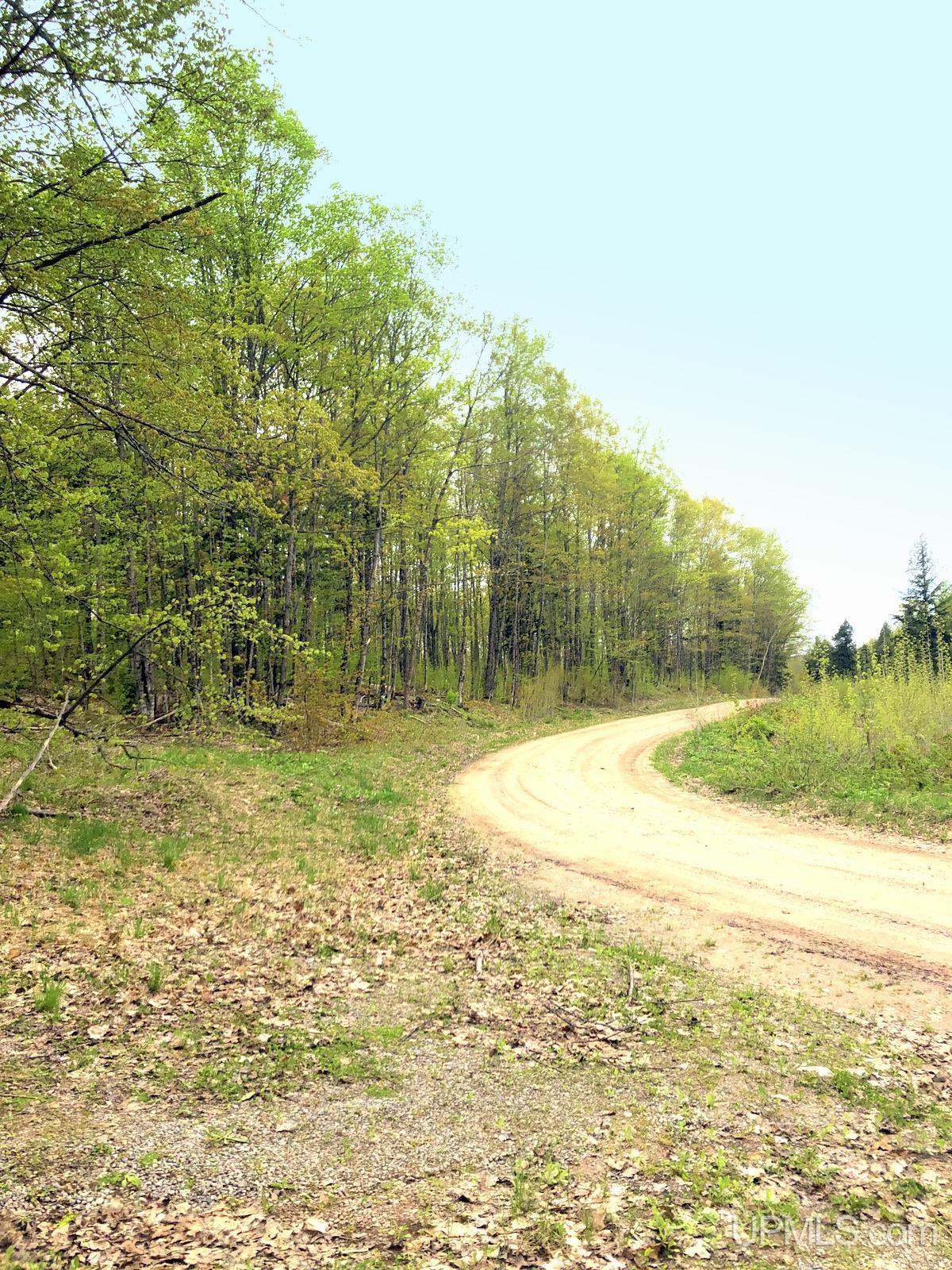 Tbd Tbd Northwestern/camp Road Ishpeming, MI 49849 - Photo 60 of 63