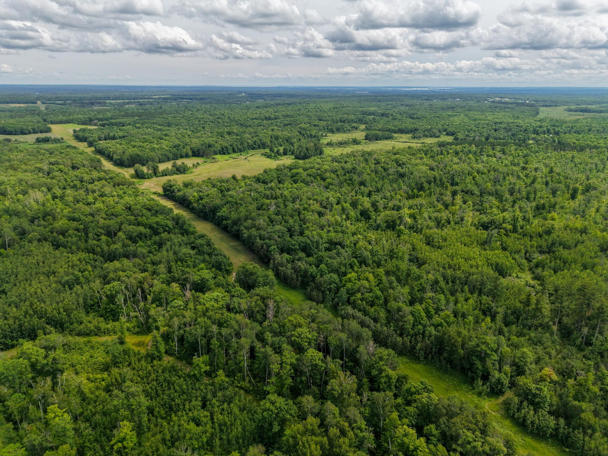80-acres Pike Bay Loop Road Northwest Cass Lake, MN 56633 - Photo 15 of 27
