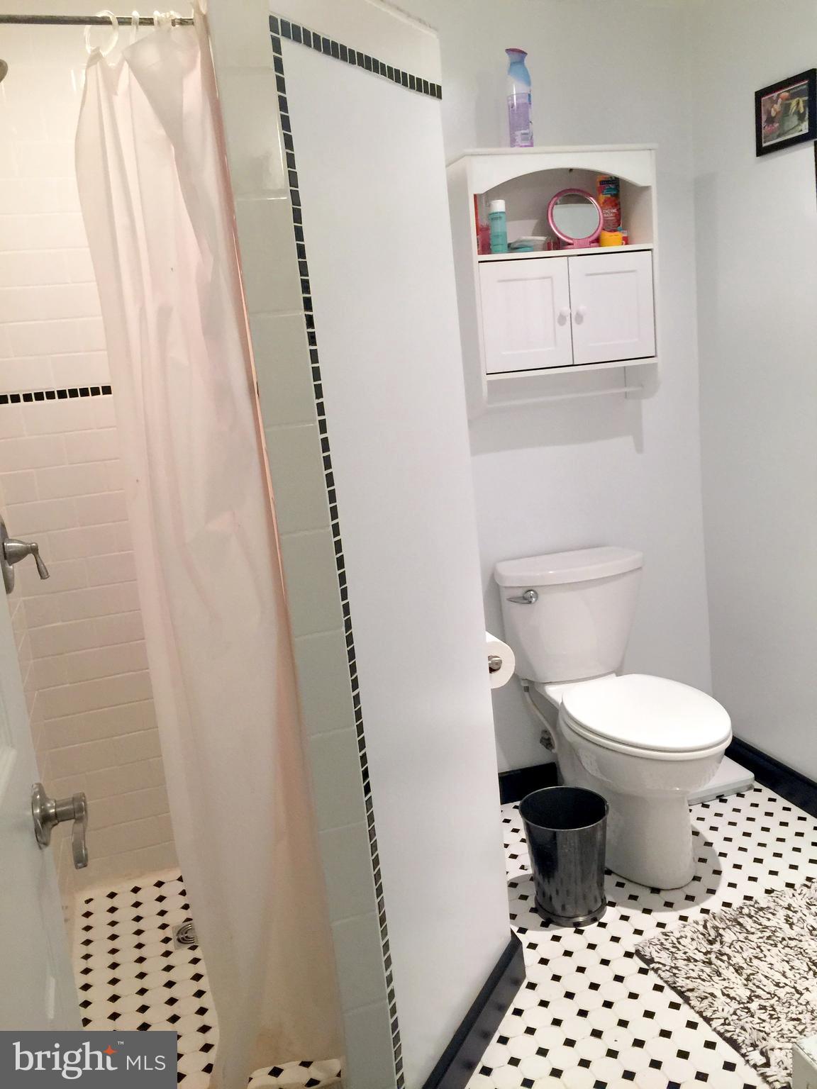 126 Cecil Road Stevensville, MD 21666 - Photo 14 of 29 Bath (Master)