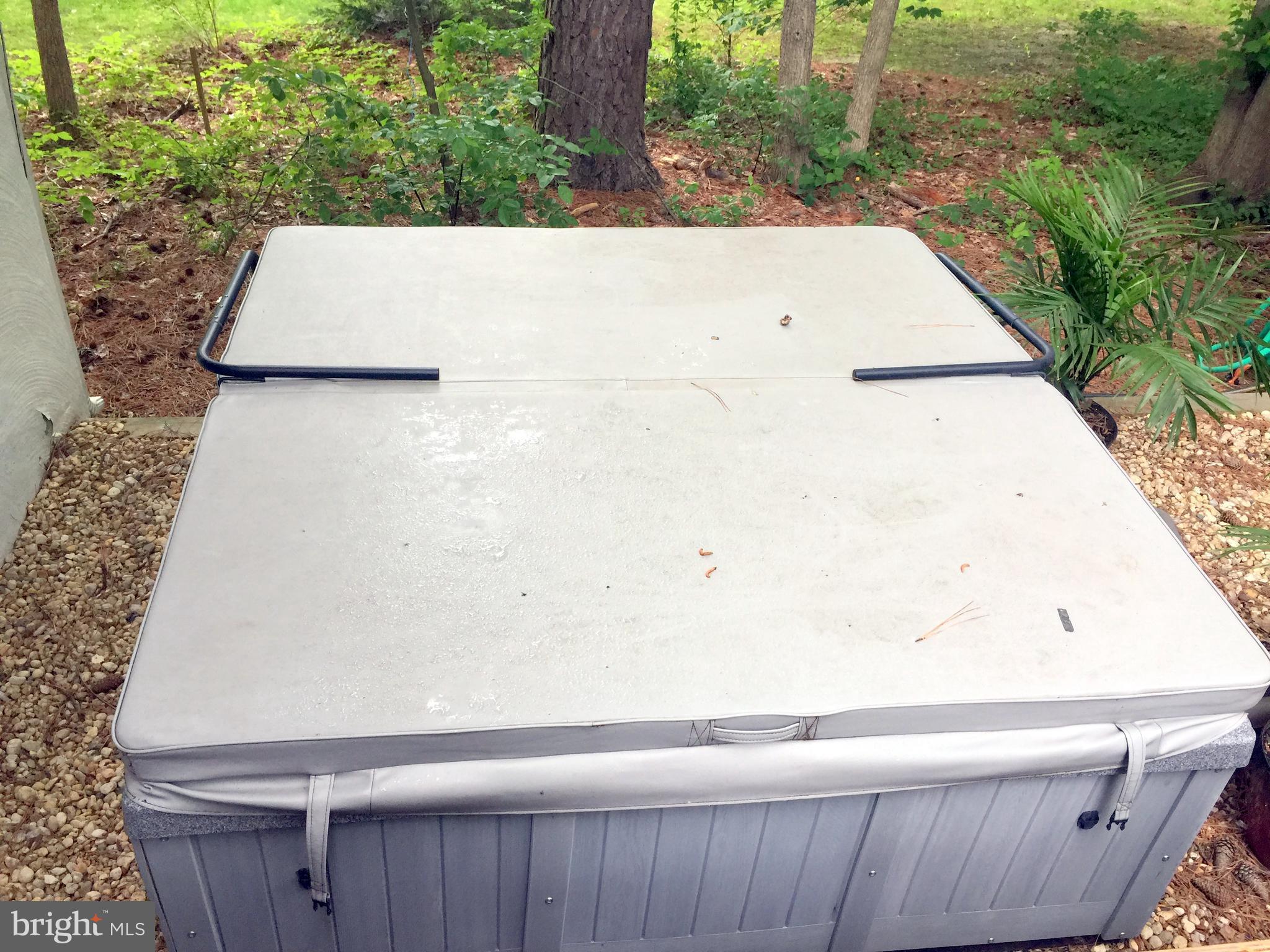 126 Cecil Road Stevensville, MD 21666 - Photo 23 of 29 Hot Tub