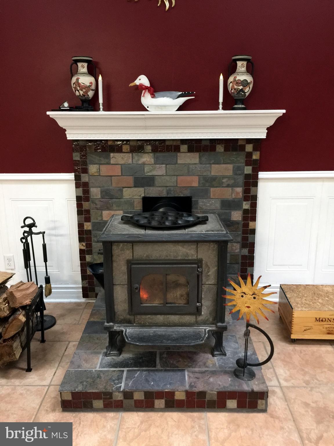 126 Cecil Road Stevensville, MD 21666 - Photo 10 of 29 Wood Stove