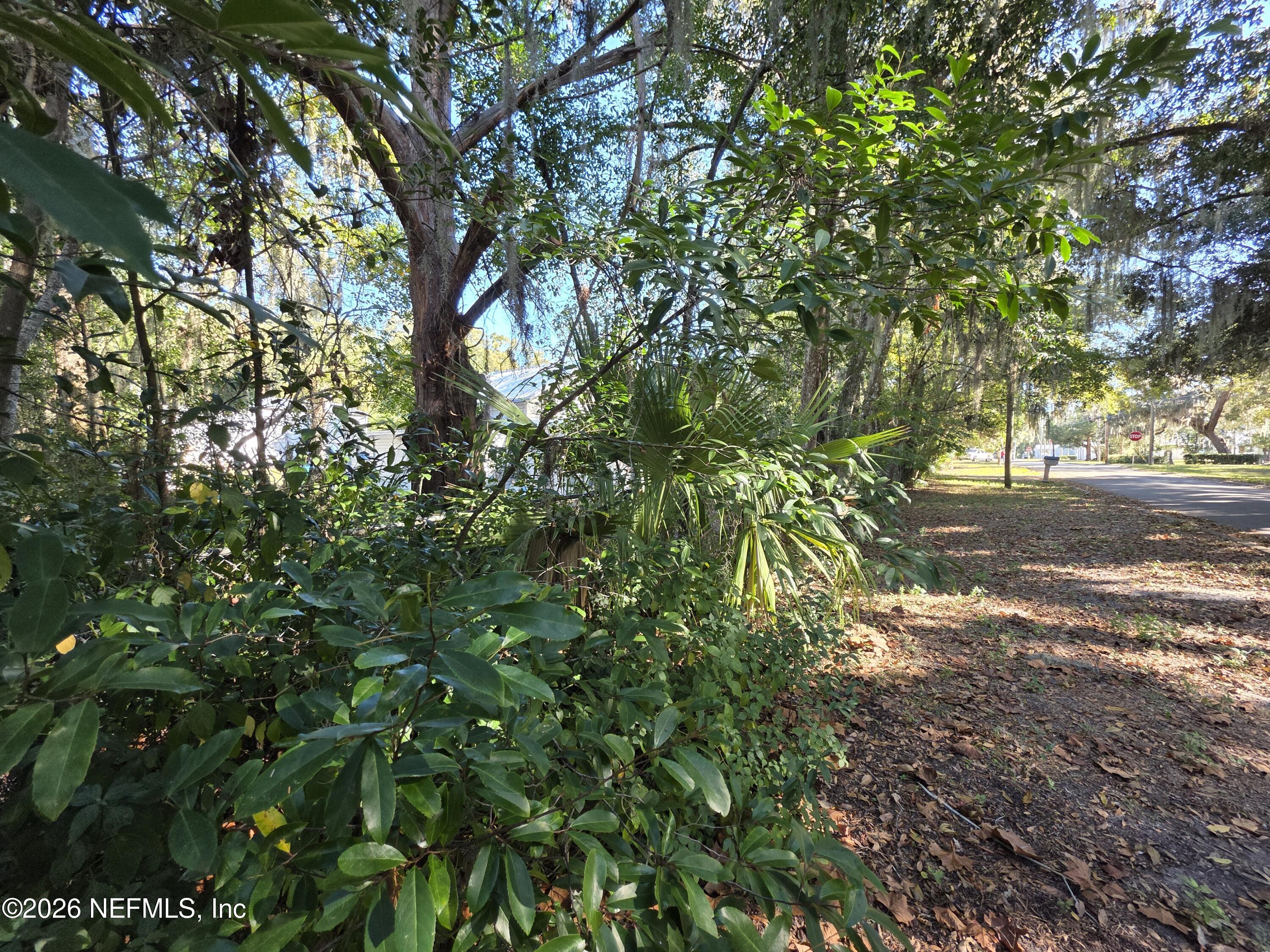 508 Edgewood Avenue Crescent City, FL 32112 - Photo 65 of 71 20251231_110328