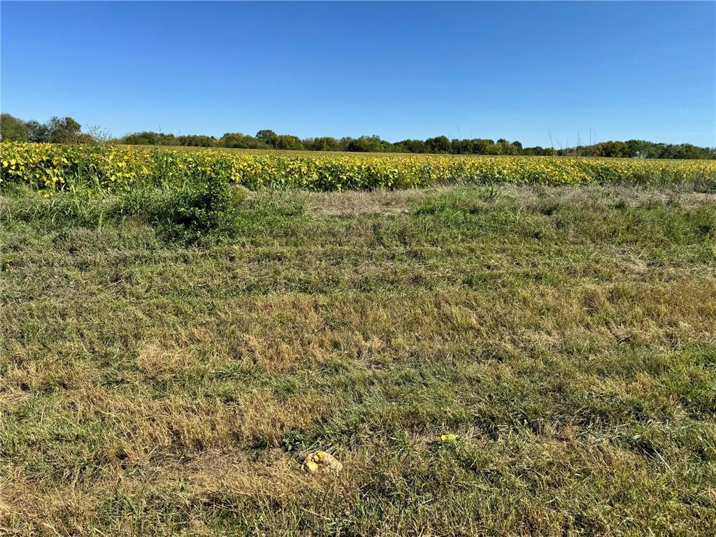 Lone Star Road Paola, KS 66071 - Photo 2 of 5