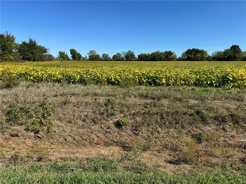 Lone Star Road Paola, KS 66071 - Photo 3 of 5