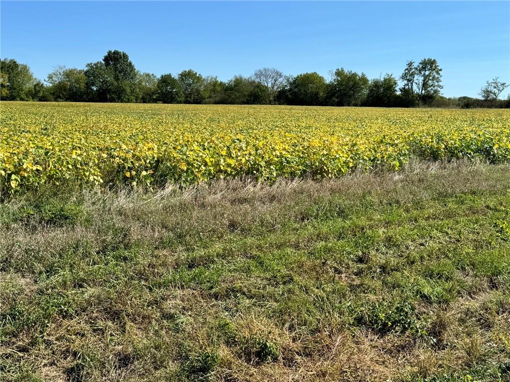 Lone Star Road Paola, KS 66071 - Photo 4 of 5
