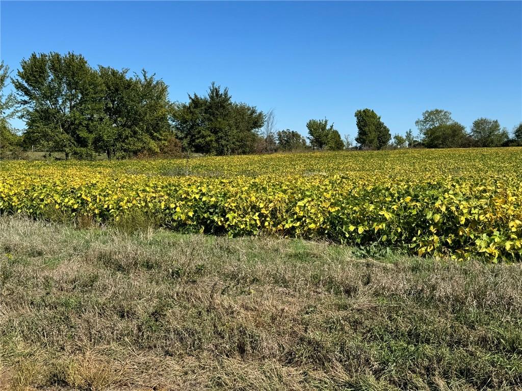 Lone Star Road Paola, KS 66071 - Photo 5 of 5
