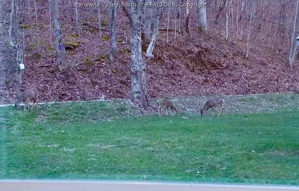 2518 Peniel Road Gay, WV 25244 - Photo 4 of 19 Gallery Image 4