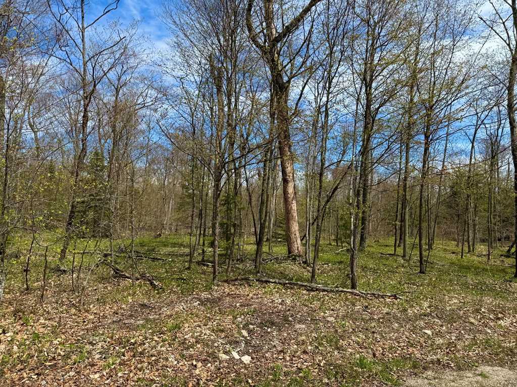 Tbd Lot1 Isle View Road Ellison Bay, WI 54210 - Photo 2 of 11