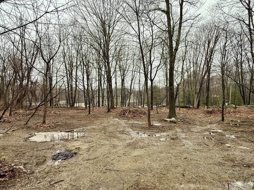 0 Lyons Dudley, MA 01571 - Photo 1 of 2