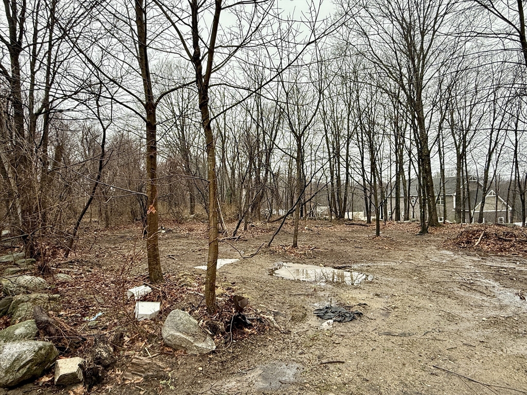 0 Lyons Dudley, MA 01571 - Photo 2 of 2