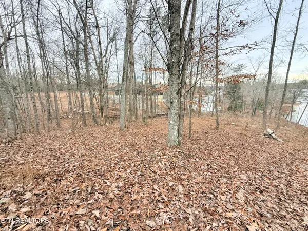 $305,000 | Lot 77 Indian Shadows Drive, Ten Mile, TN 37880