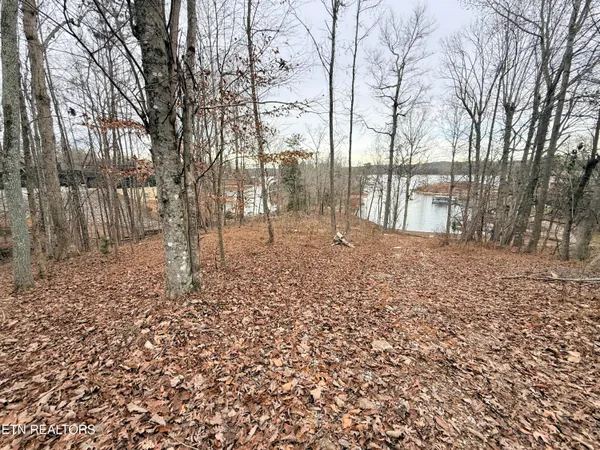 $305,000 | Lot 77 Indian Shadows Drive, Ten Mile, TN 37880