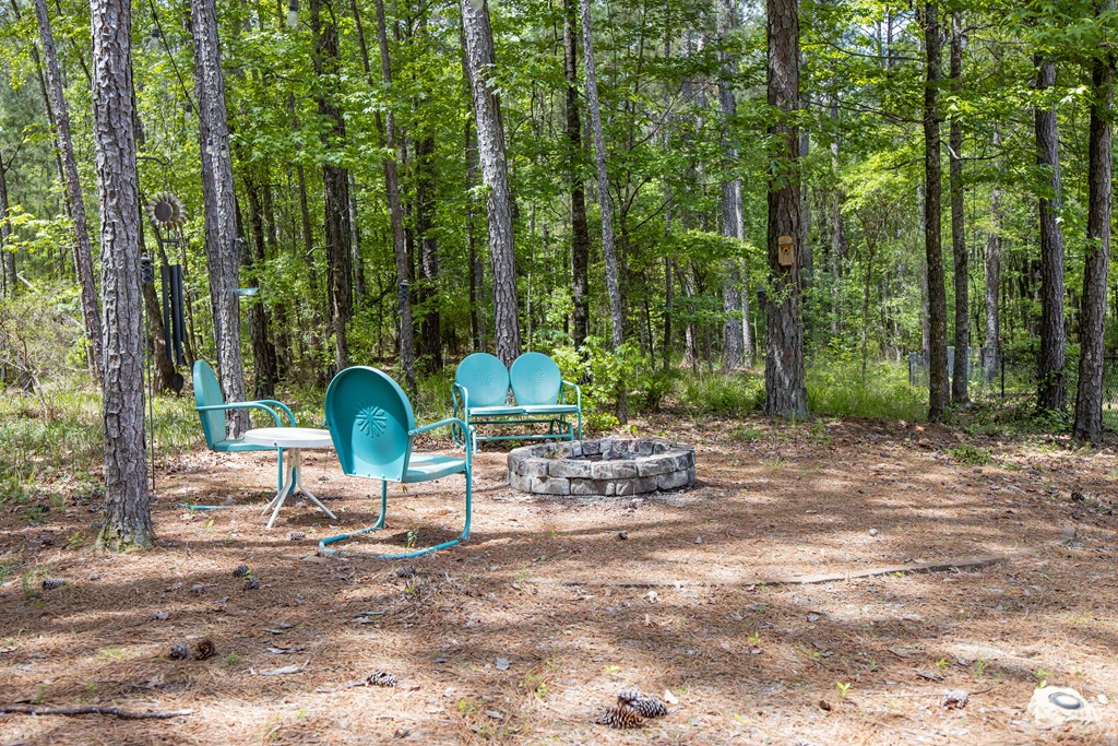 3450 McKee Road Upatoi, GA 31829 - Photo 37 of 43