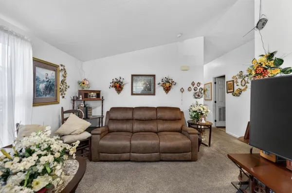a living room with furniture flowerpot and a window