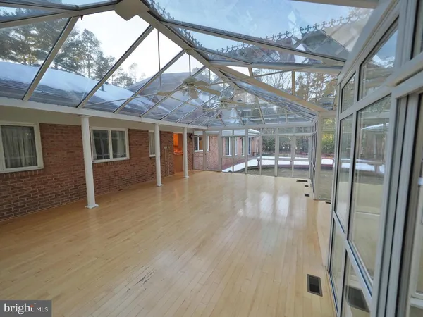 a view of backyard with tree