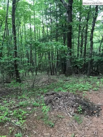 $47,000 | Lot 48 White Tail Road, West Jefferson, NC 28694