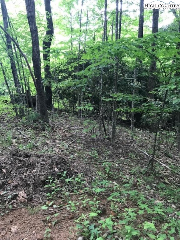 Lot 48 White Tail Road West Jefferson, NC 28694 - Photo 3 of 4