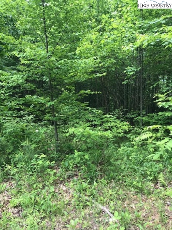 Lot 48 White Tail Road West Jefferson, NC 28694 - Photo 4 of 4