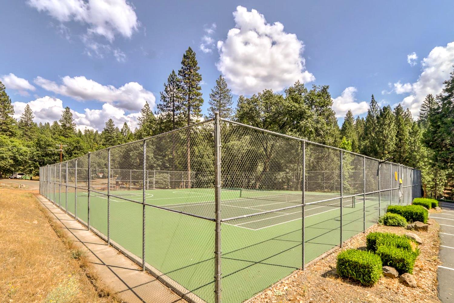 5015 Shooting Star Road Pollock Pines, CA 95726 - Photo 31 of 44 a view of a backyard